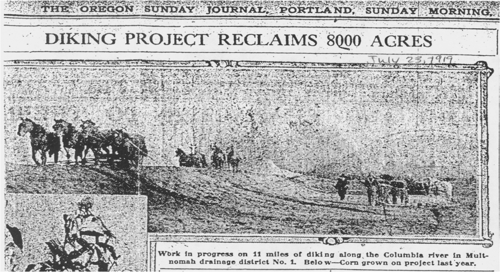 "Diking Project Reclaims 700 Acres" newspaper article from 1917 when drainage districts are first established