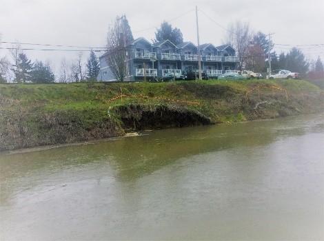 photo of erosion on levee in Bridgeton neighborhood
