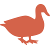 a bird icon to represent the species of birds protected by the levee system