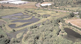 Aerial Four of Big Four Corners along the Columbia Slough