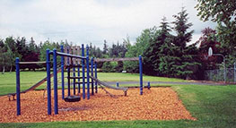 Photo of playground at Pelfrey Park in Fairview