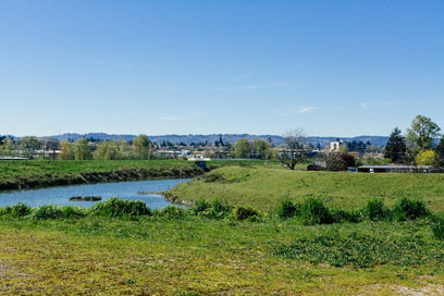 photo of a levee and the columbia slough