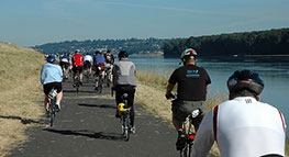 Photo of people biking along levee path along Marine Drive
