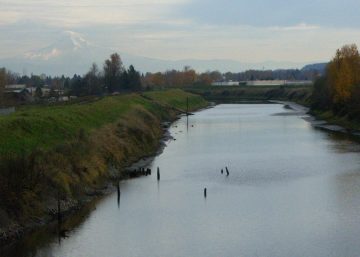 Photo of the Columbia Slough and levee